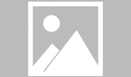 艾利bl漫画,浪漫校园的甜蜜邂逅