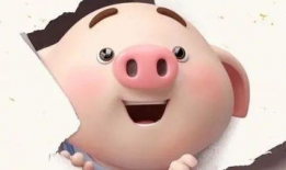 猪小屁短视频,趣味横生的日常生活记录